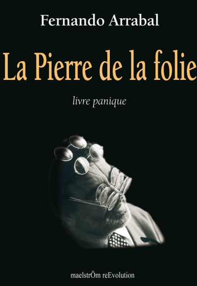 La Pierre de la folie - Livre panique