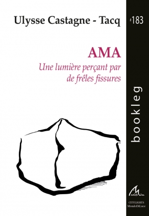 Bookleg #183 AMA - Une lumière perçant par de frêles fissures