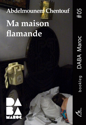 Bookleg DABA  #5 Ma maison flamande